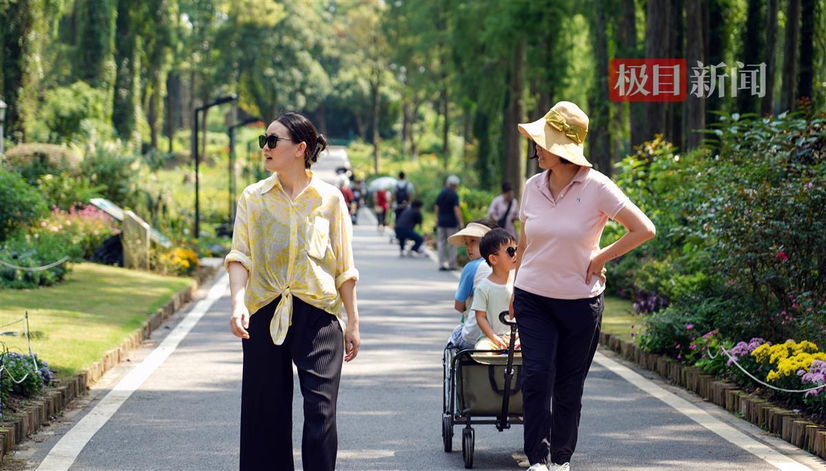 mg视讯指定平台